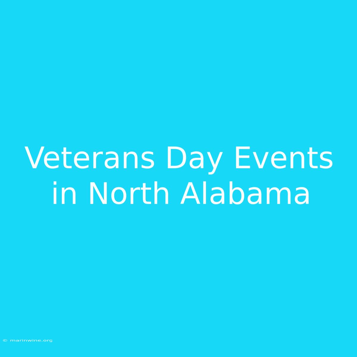 Veterans Day Events In North Alabama