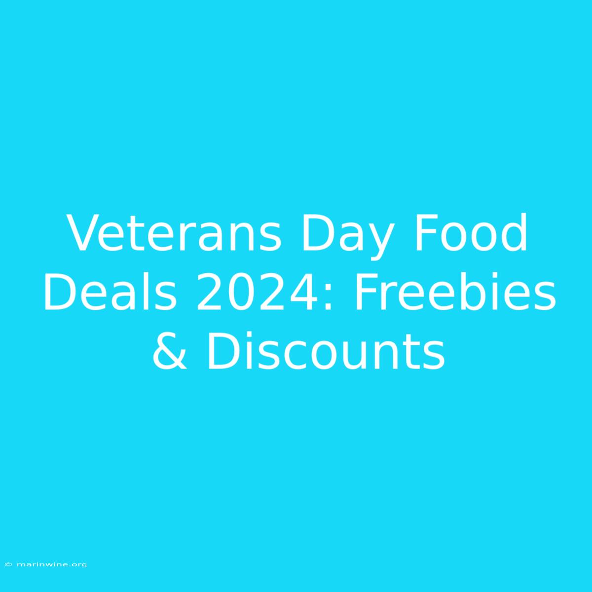 Veterans Day Food Deals 2024: Freebies & Discounts