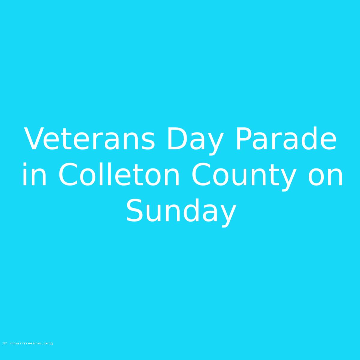 Veterans Day Parade In Colleton County On Sunday