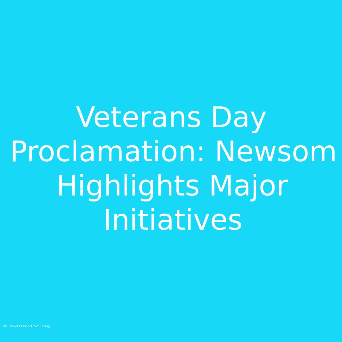 Veterans Day Proclamation: Newsom Highlights Major Initiatives 