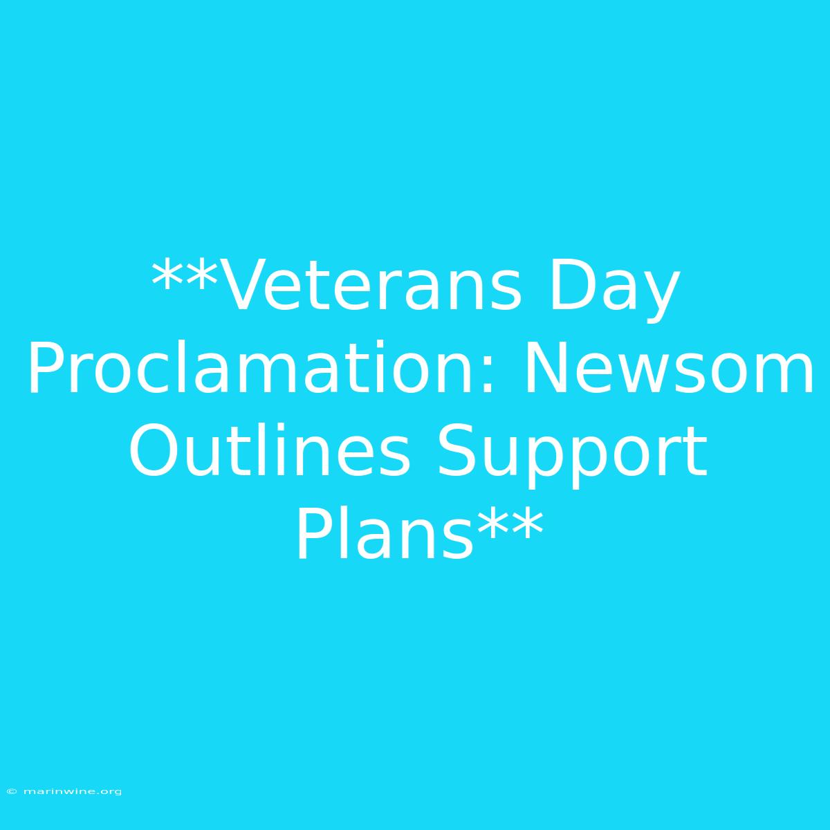 **Veterans Day Proclamation: Newsom Outlines Support Plans** 