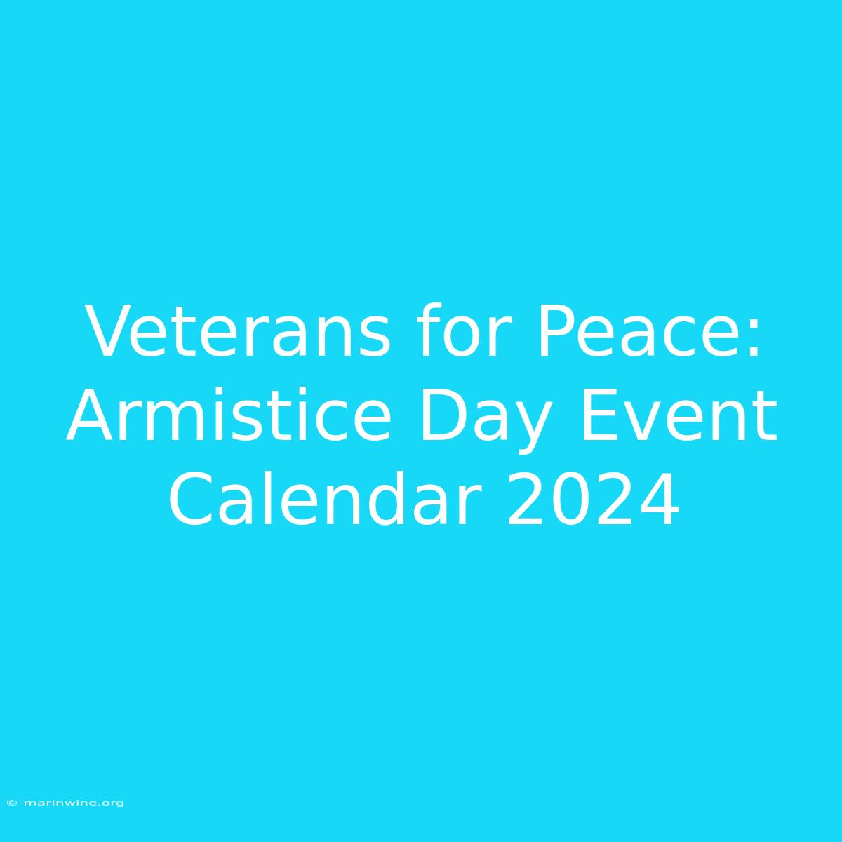 Veterans For Peace: Armistice Day Event Calendar 2024