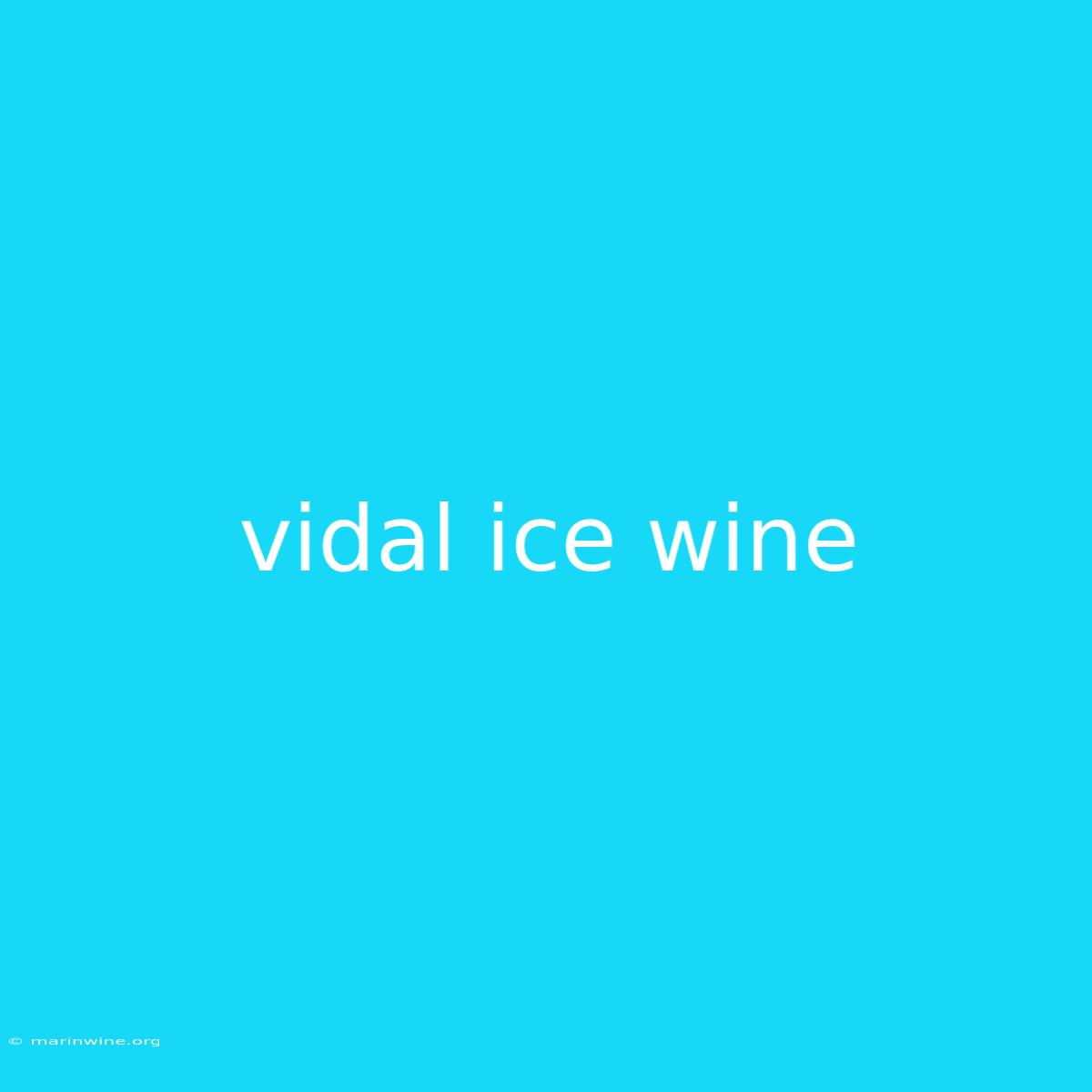 Vidal Ice Wine