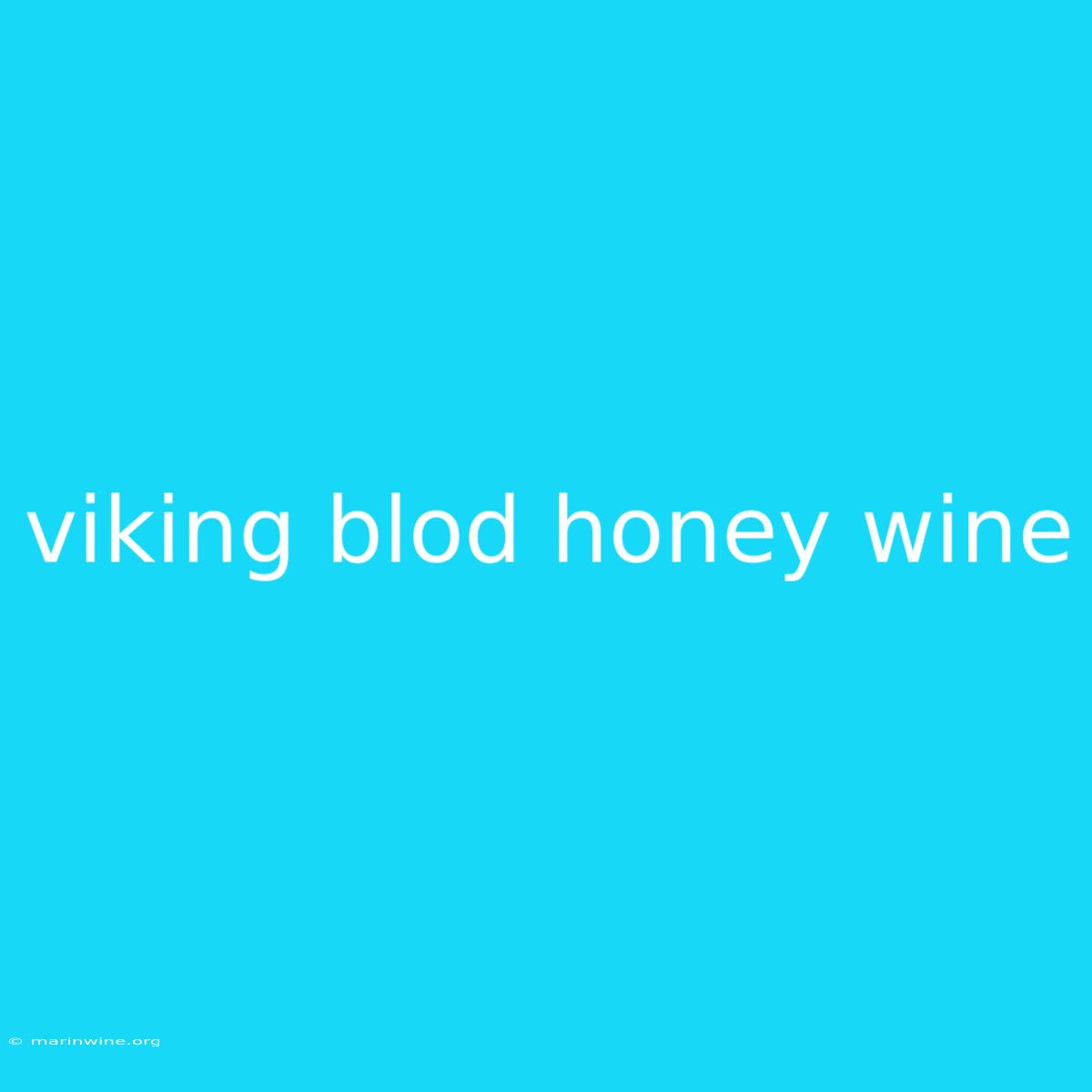 Viking Blod Honey Wine