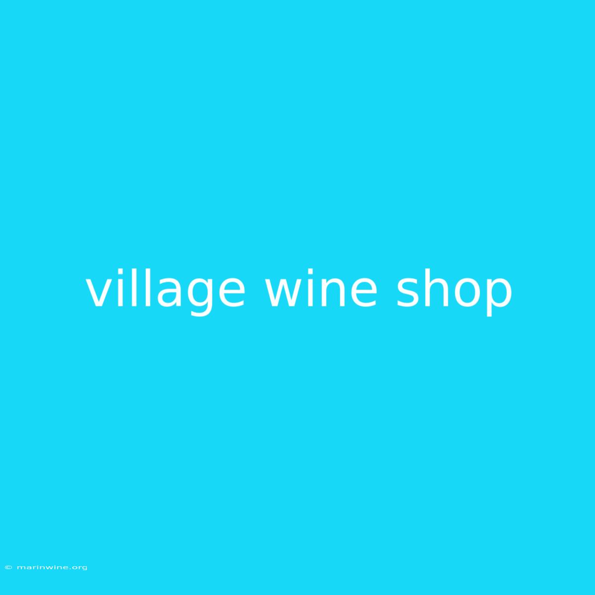 Village Wine Shop