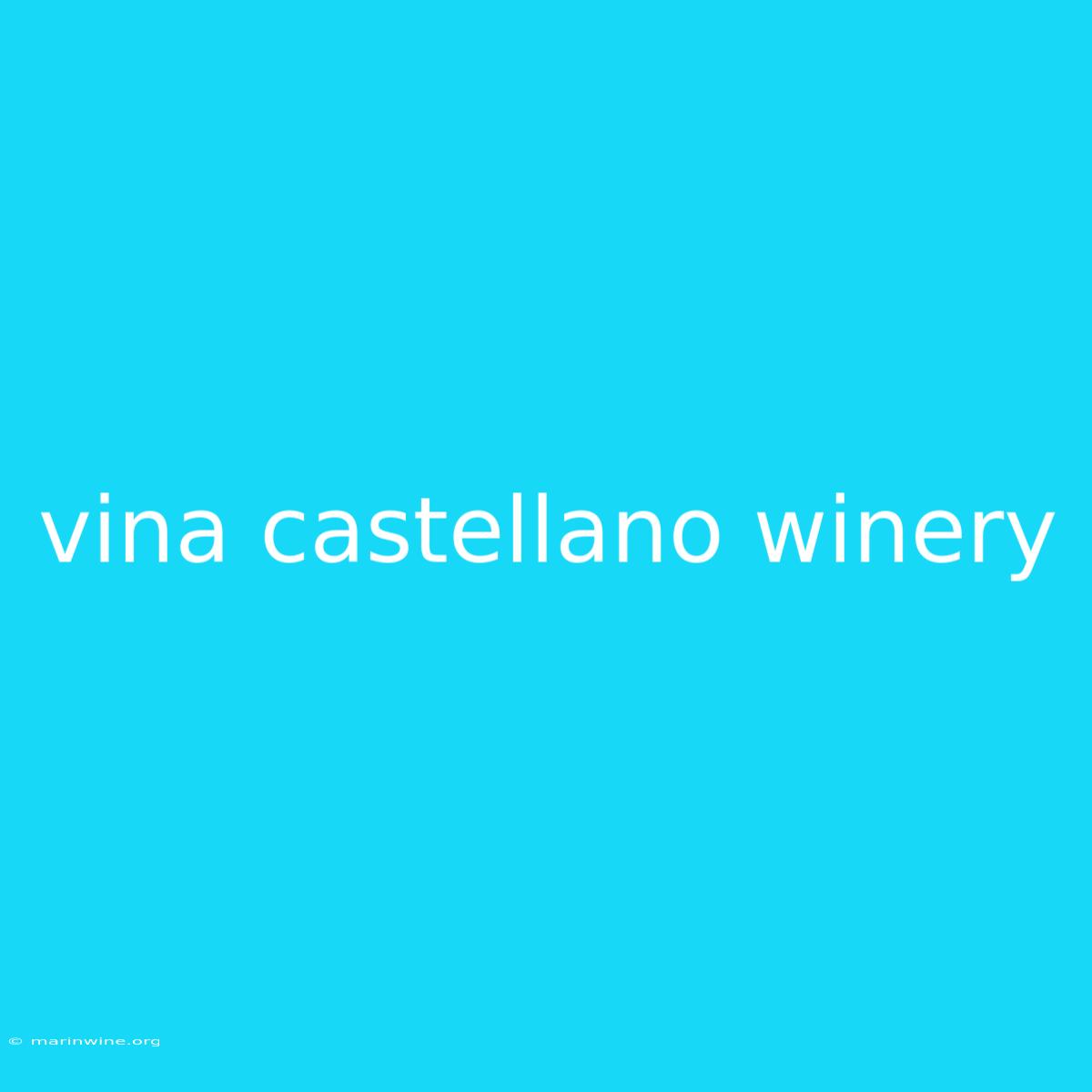 Vina Castellano Winery