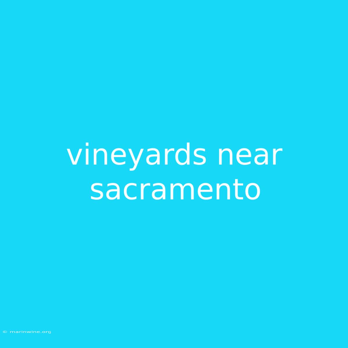 Vineyards Near Sacramento