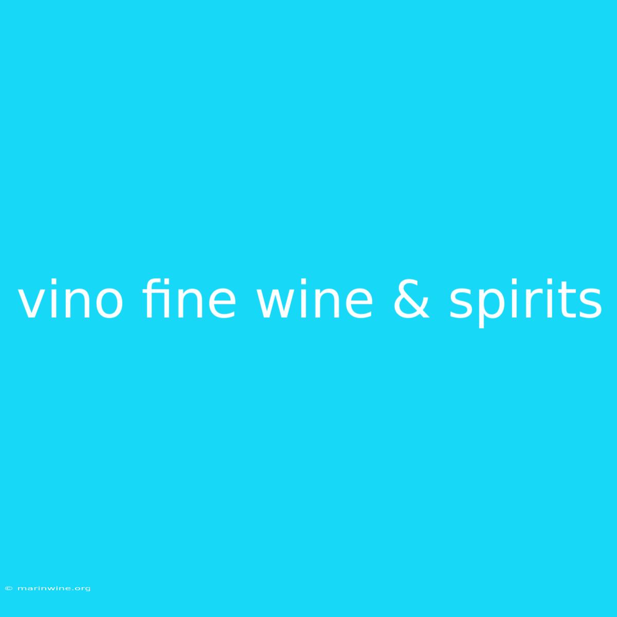 Vino Fine Wine & Spirits