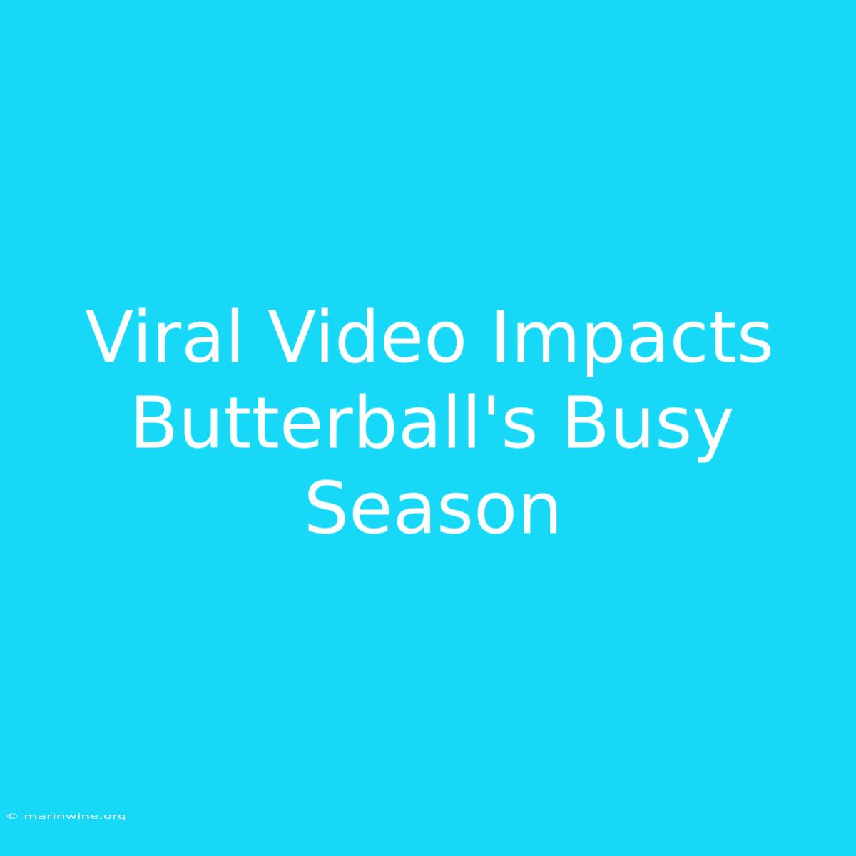 Viral Video Impacts Butterball's Busy Season