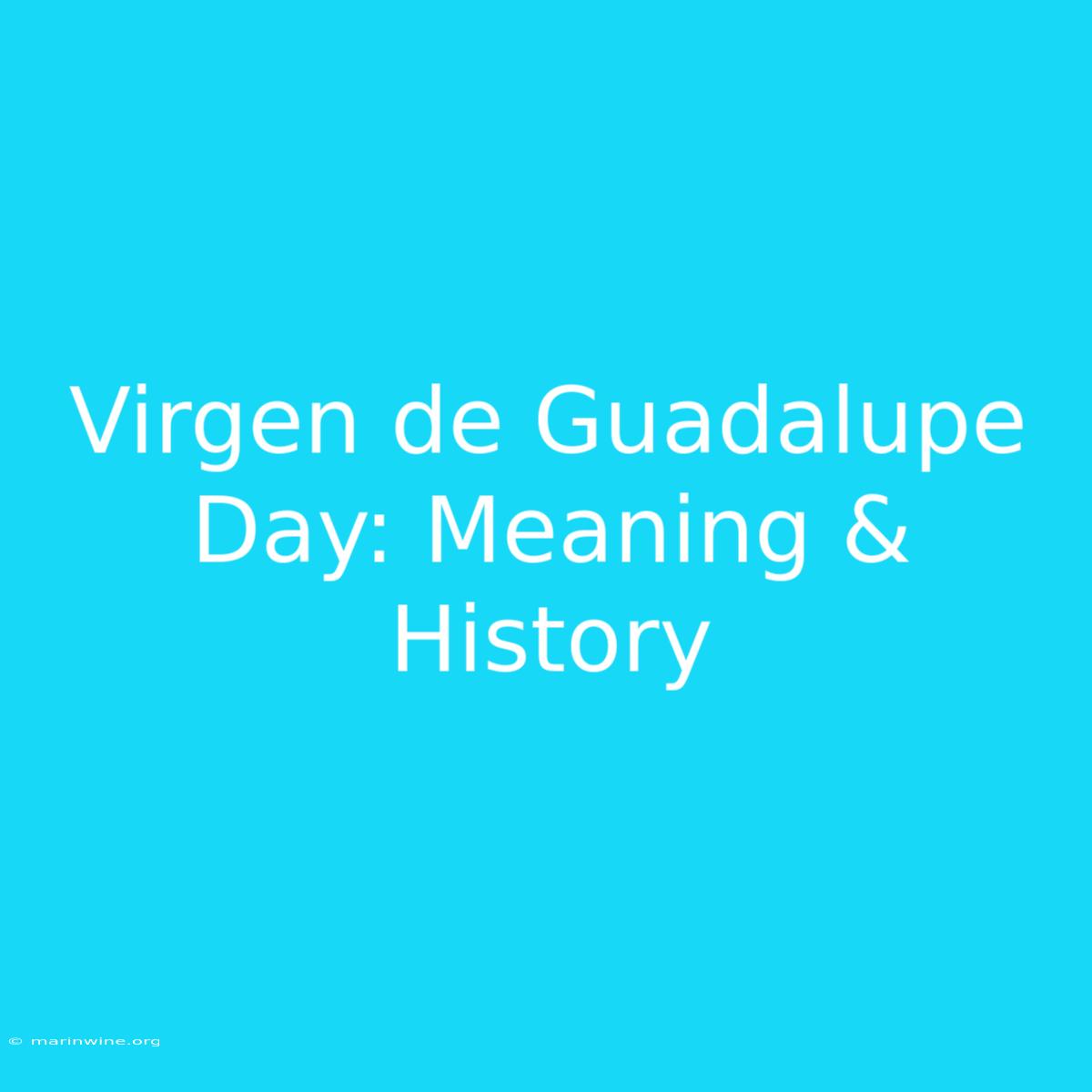 Virgen De Guadalupe Day: Meaning & History