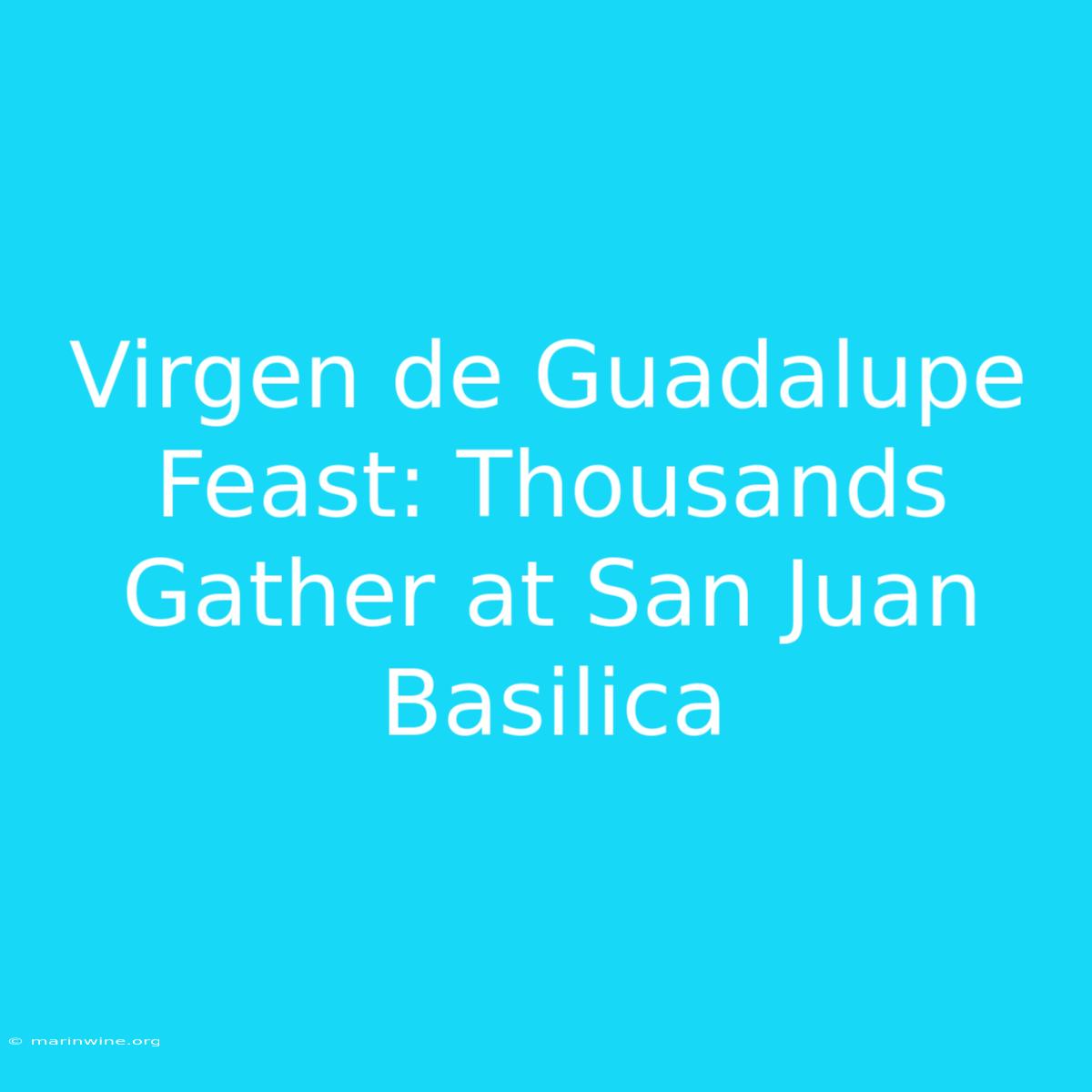 Virgen De Guadalupe Feast: Thousands Gather At San Juan Basilica