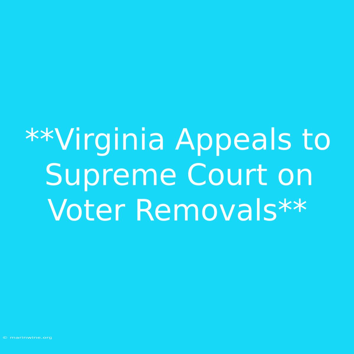 **Virginia Appeals To Supreme Court On Voter Removals**