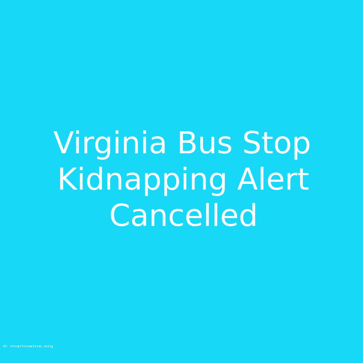 Virginia Bus Stop Kidnapping Alert Cancelled