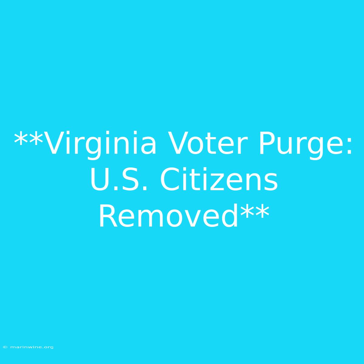 **Virginia Voter Purge: U.S. Citizens Removed** 