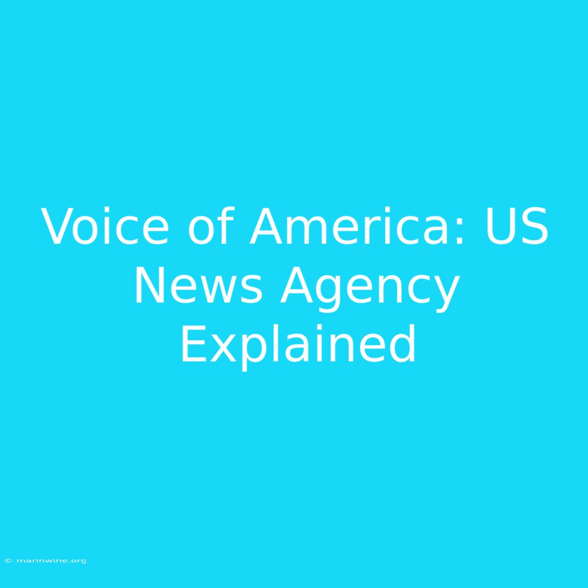 Voice Of America: US News Agency Explained