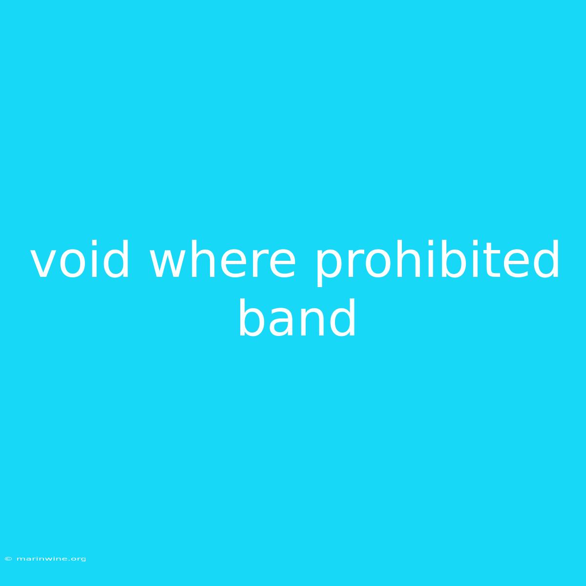 Void Where Prohibited Band