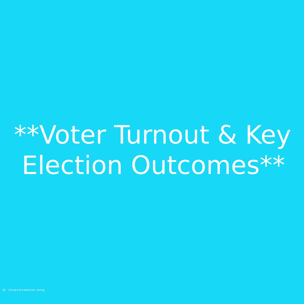 **Voter Turnout & Key Election Outcomes**