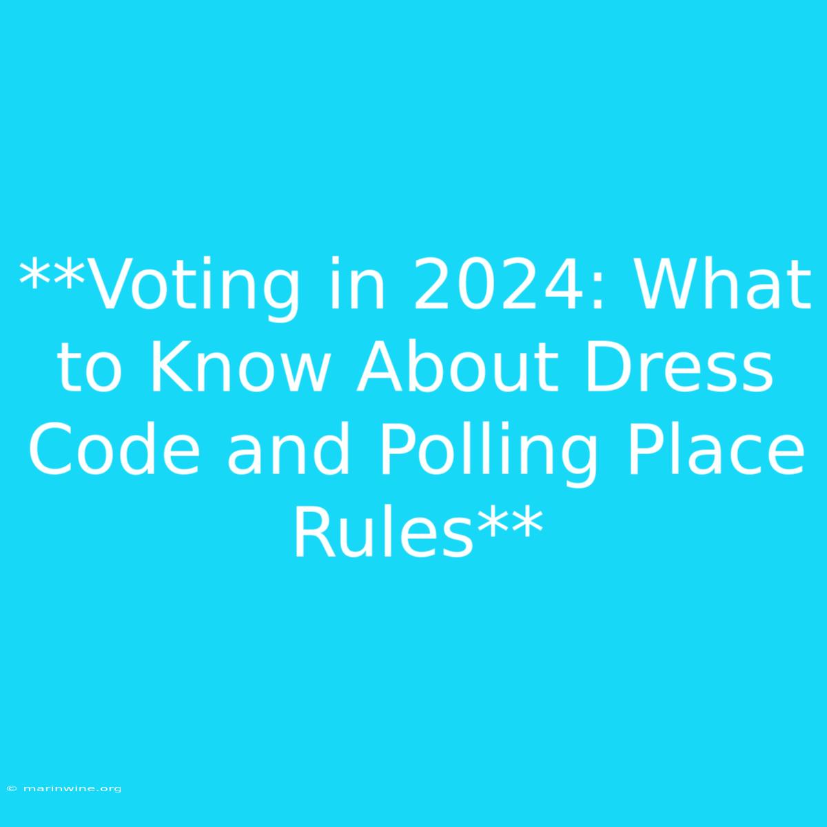 **Voting In 2024: What To Know About Dress Code And Polling Place Rules** 