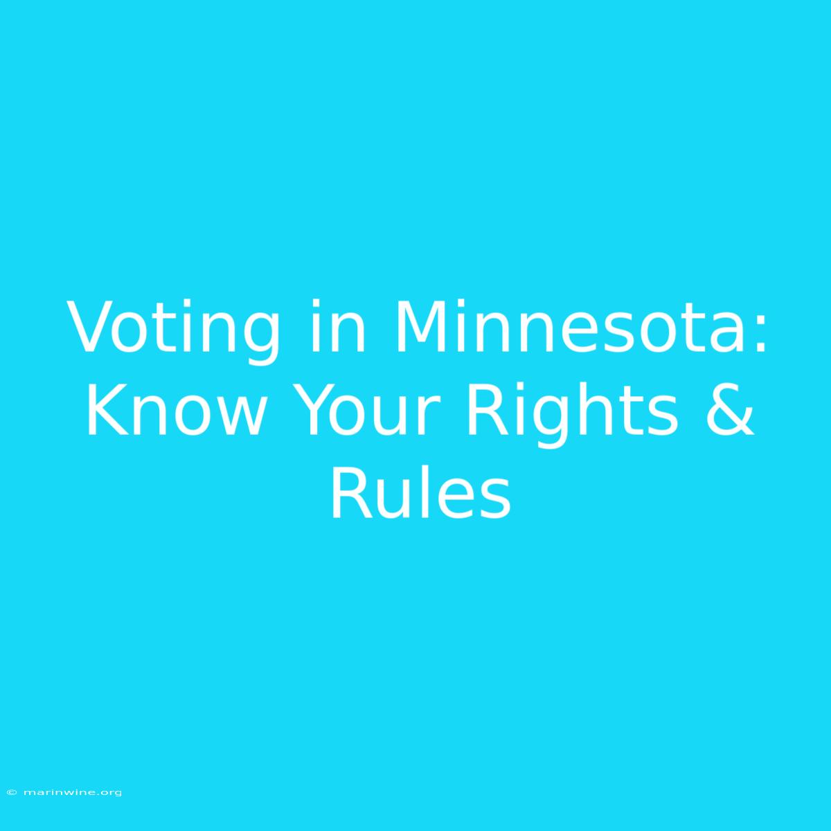 Voting In Minnesota: Know Your Rights & Rules 