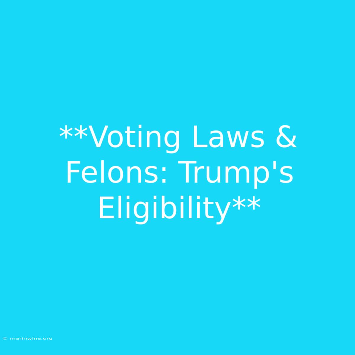 **Voting Laws & Felons: Trump's Eligibility** 