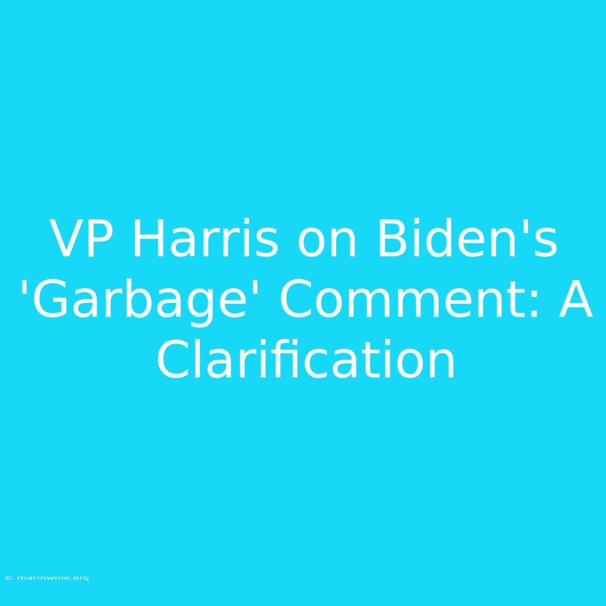 VP Harris On Biden's 'Garbage' Comment: A Clarification 