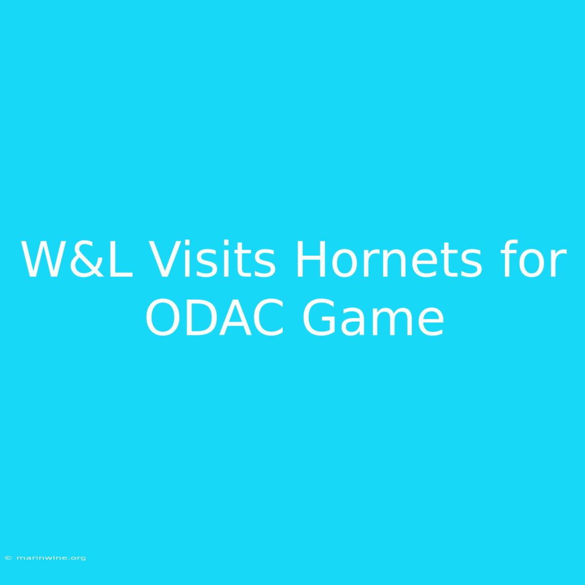 W&L Visits Hornets For ODAC Game