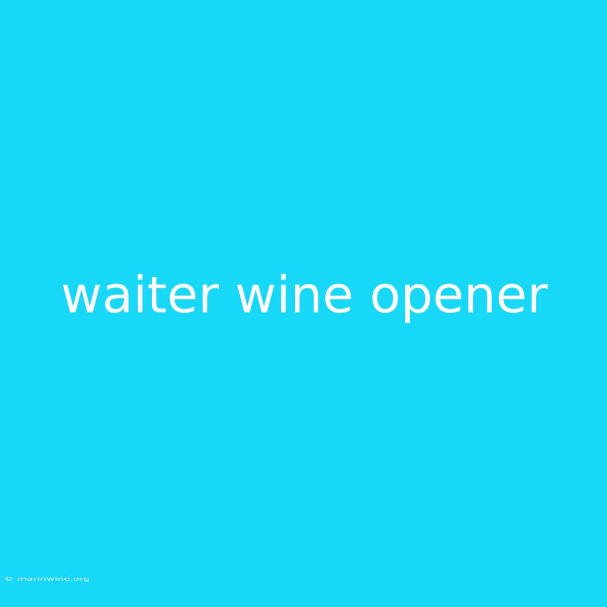 Waiter Wine Opener