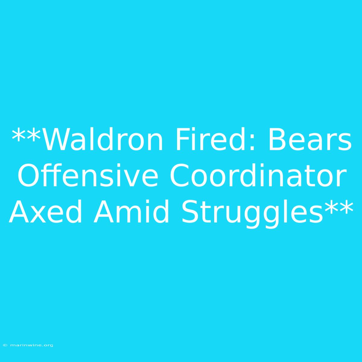 **Waldron Fired: Bears Offensive Coordinator Axed Amid Struggles**