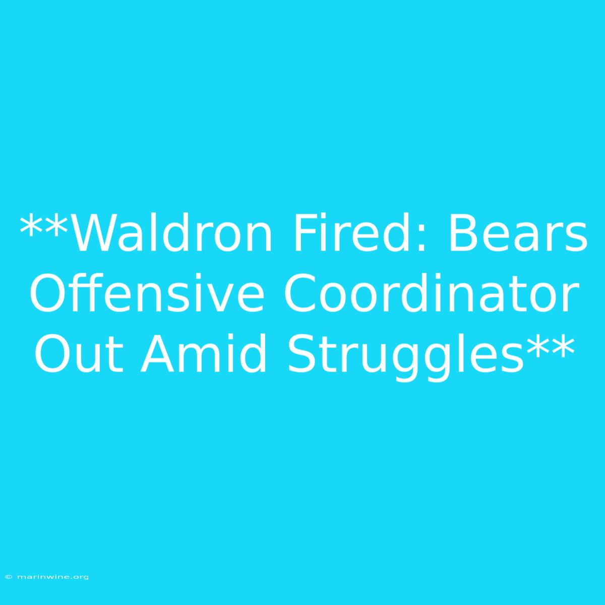 **Waldron Fired: Bears Offensive Coordinator Out Amid Struggles**