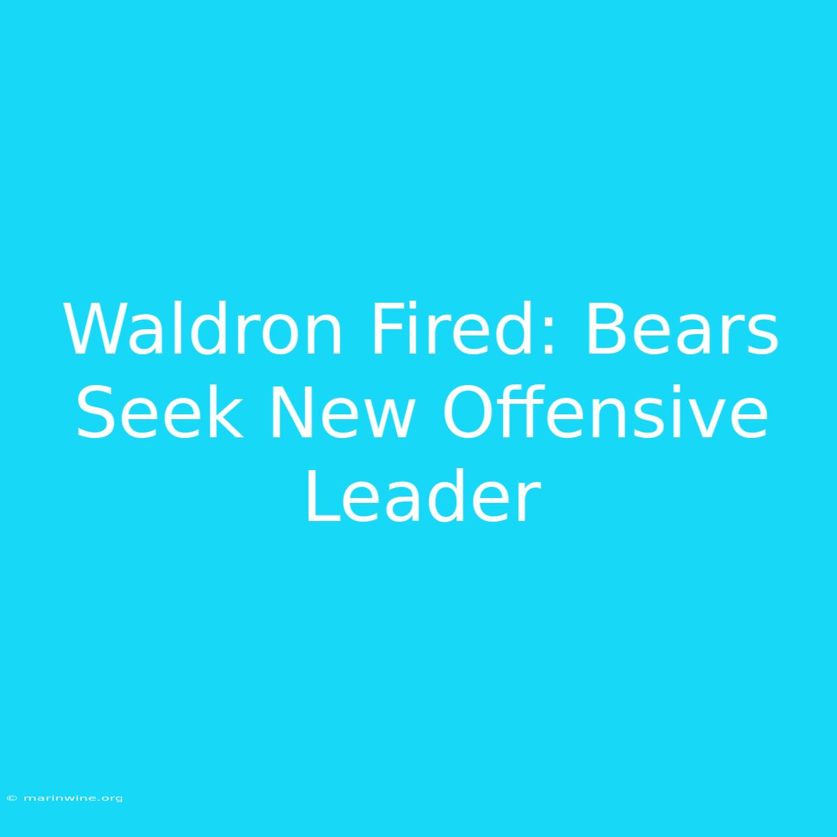 Waldron Fired: Bears Seek New Offensive Leader 