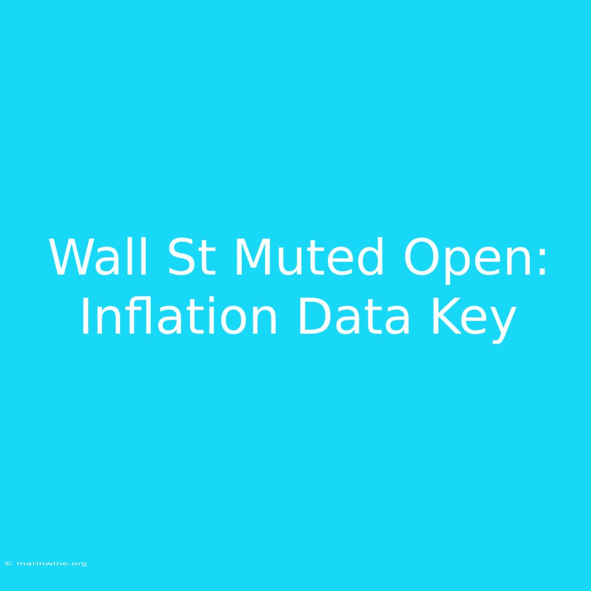 Wall St Muted Open: Inflation Data Key