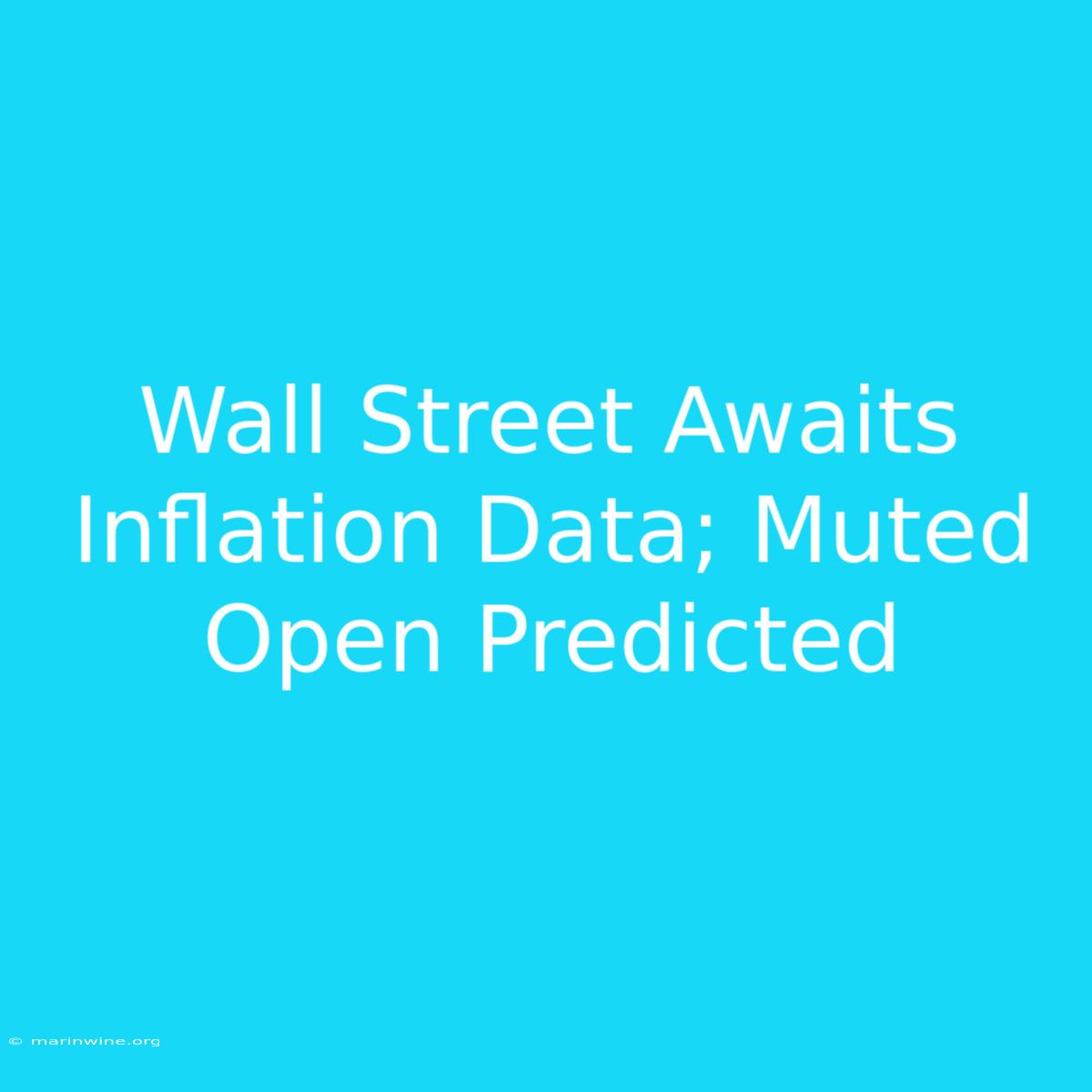 Wall Street Awaits Inflation Data; Muted Open Predicted