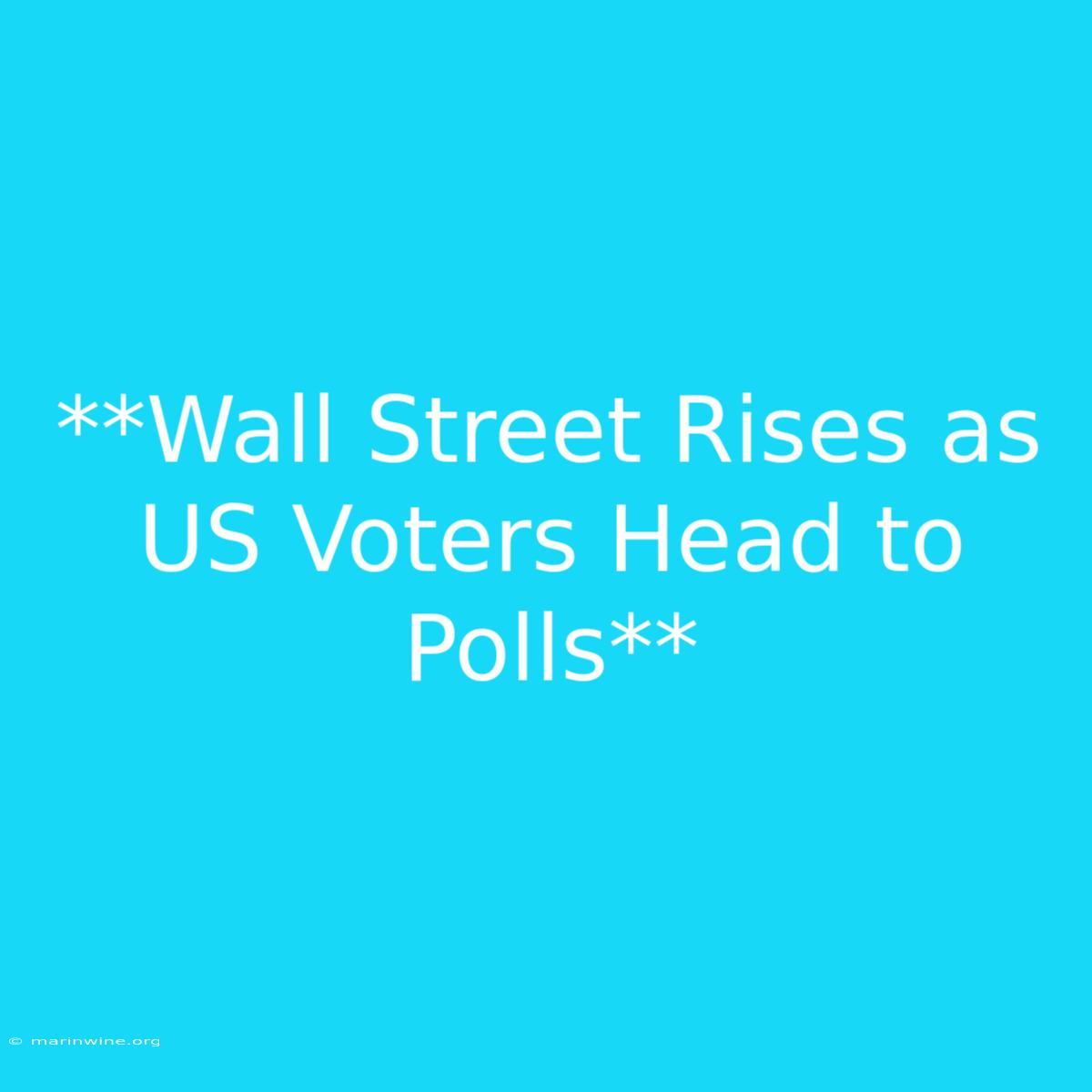 **Wall Street Rises As US Voters Head To Polls**