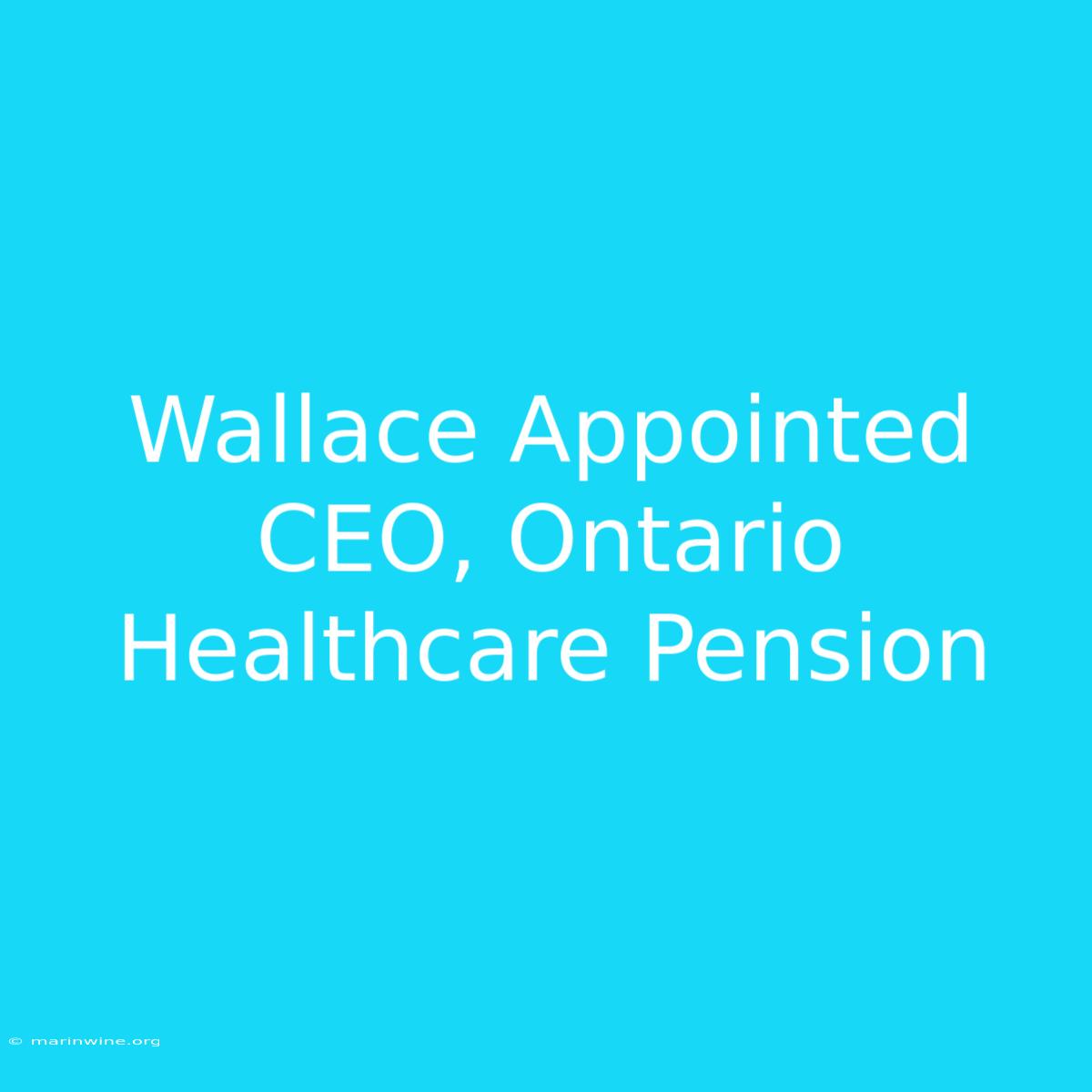 Wallace Appointed CEO, Ontario Healthcare Pension