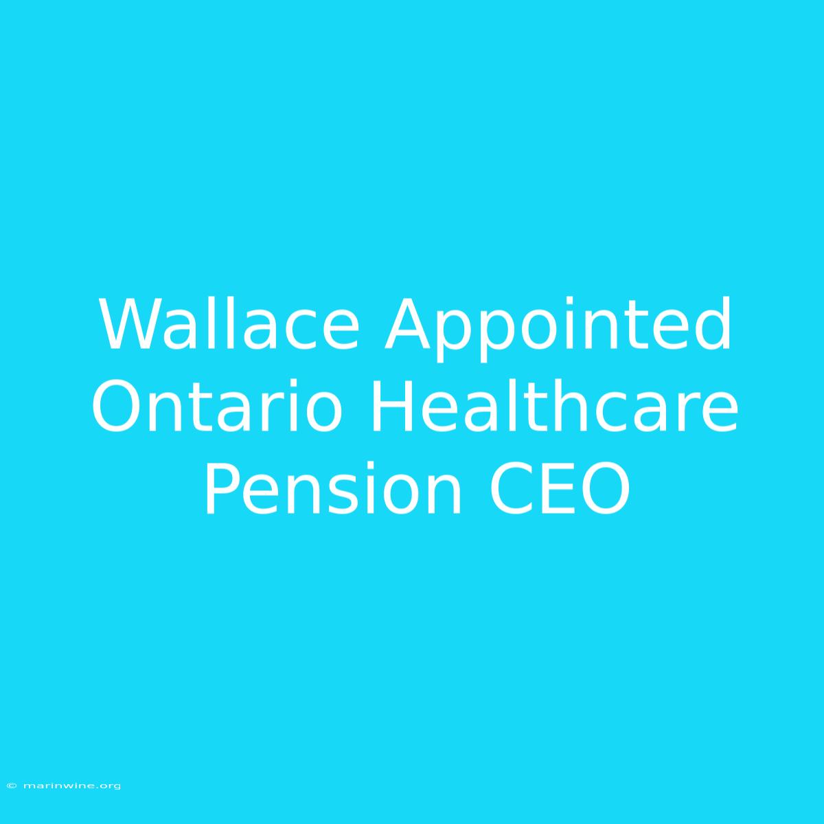 Wallace Appointed Ontario Healthcare Pension CEO