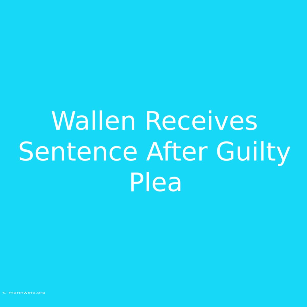 Wallen Receives Sentence After Guilty Plea