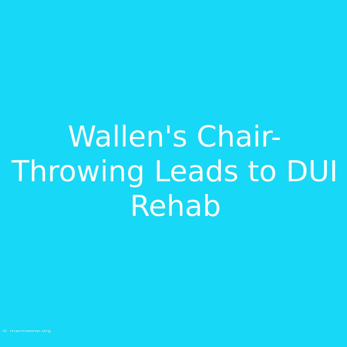 Wallen's Chair-Throwing Leads To DUI Rehab