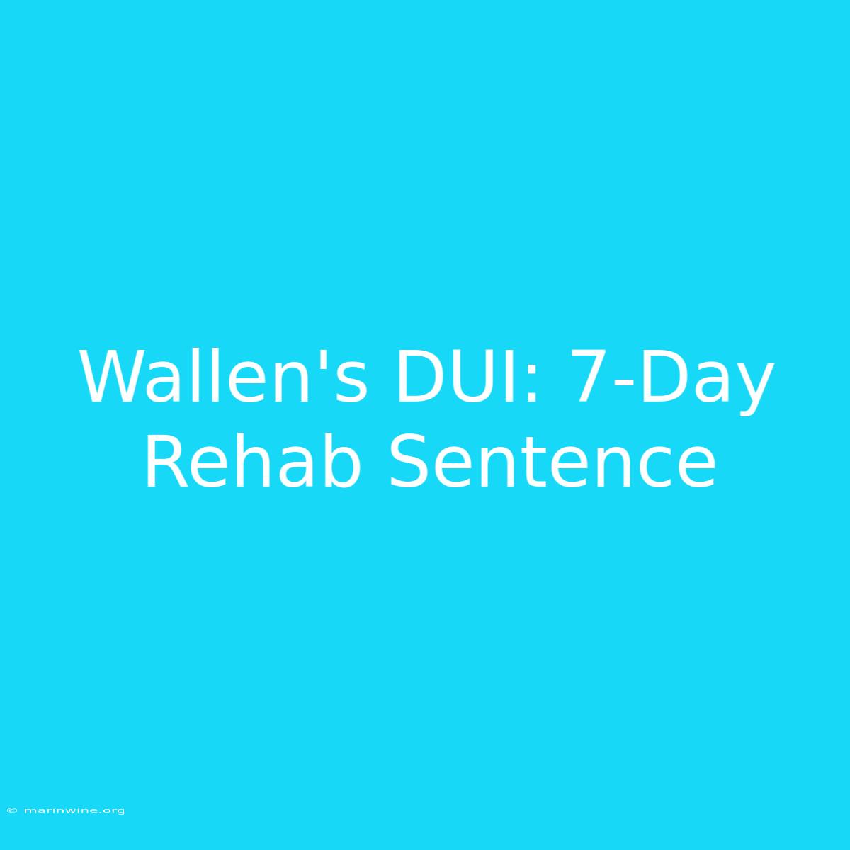 Wallen's DUI: 7-Day Rehab Sentence