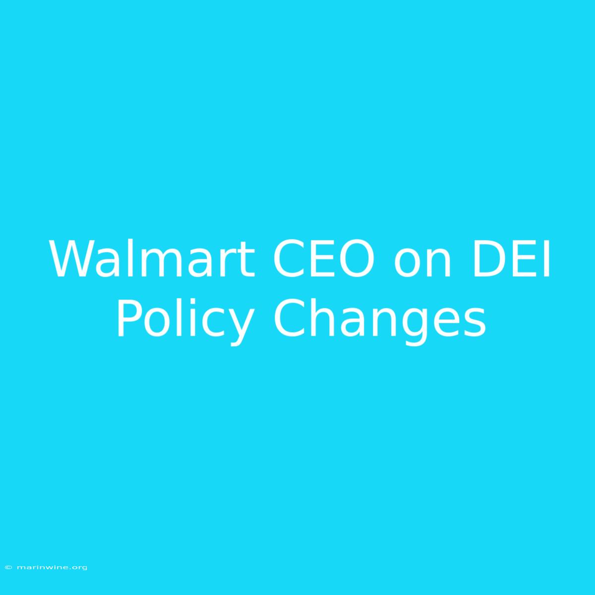 Walmart CEO On DEI Policy Changes