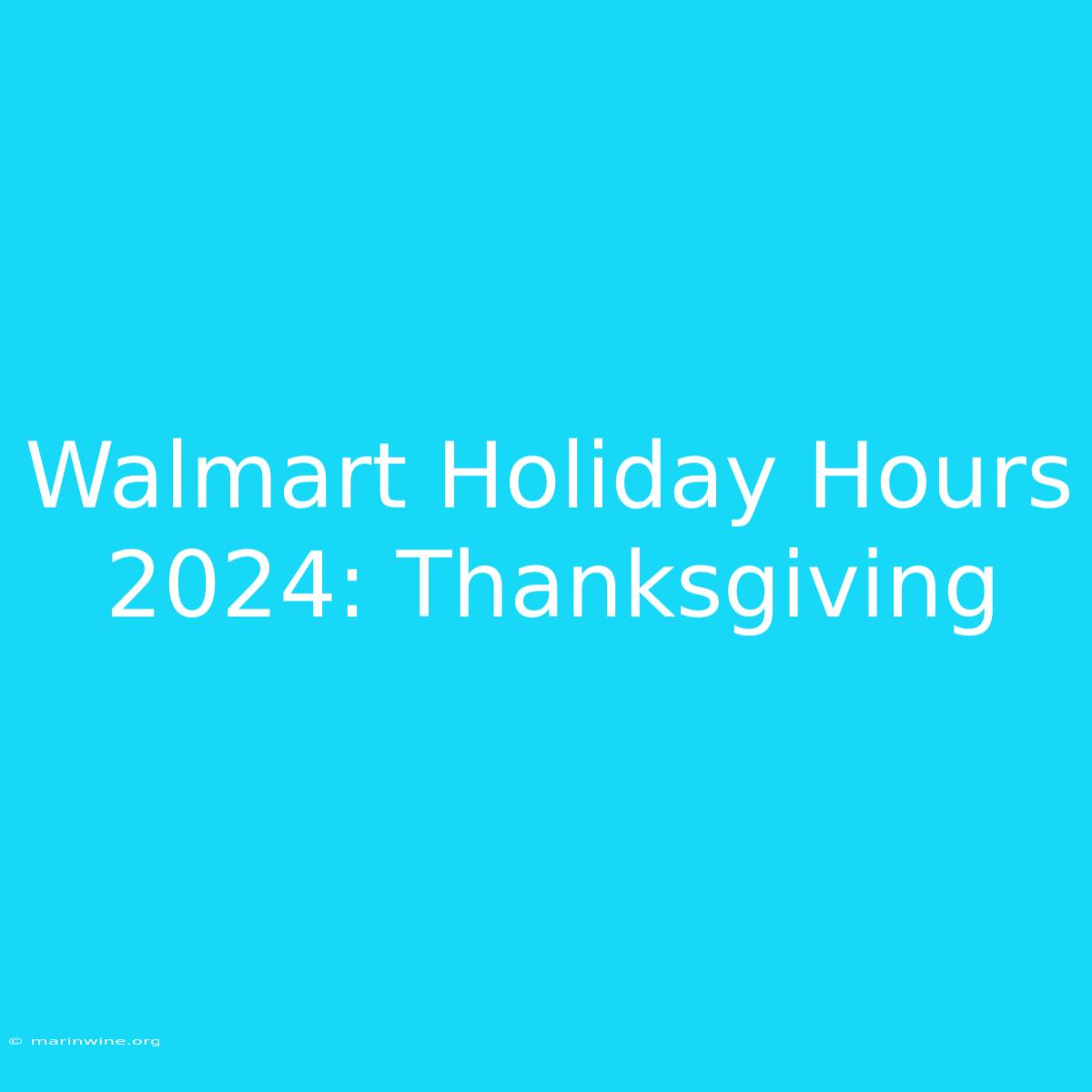 Walmart Holiday Hours 2024: Thanksgiving