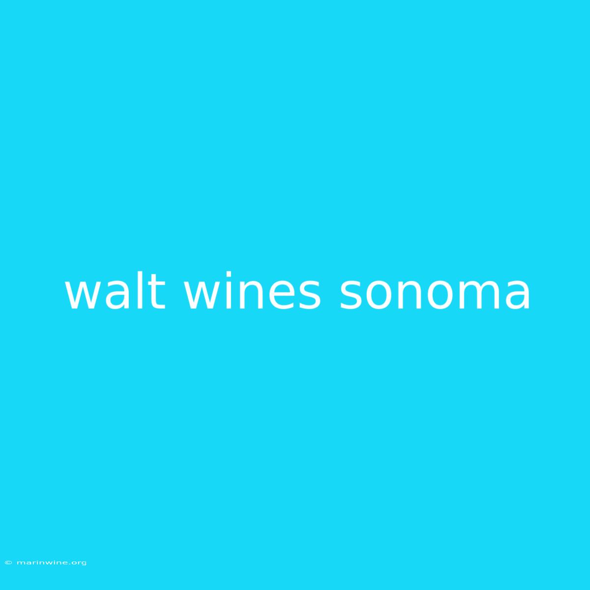 Walt Wines Sonoma