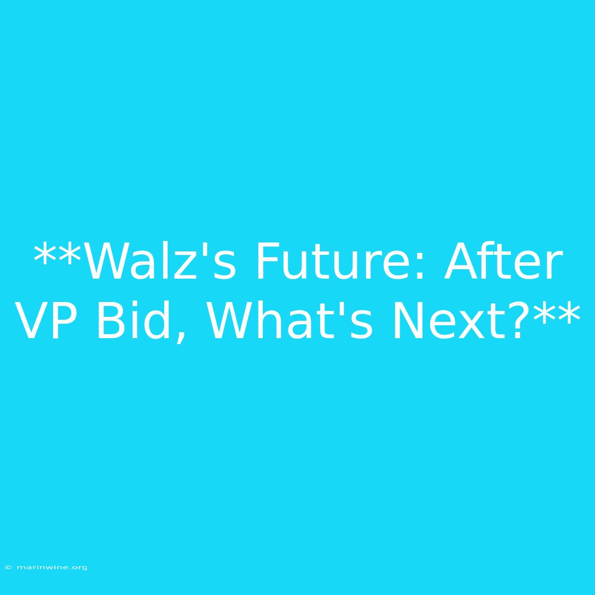 **Walz's Future: After VP Bid, What's Next?**