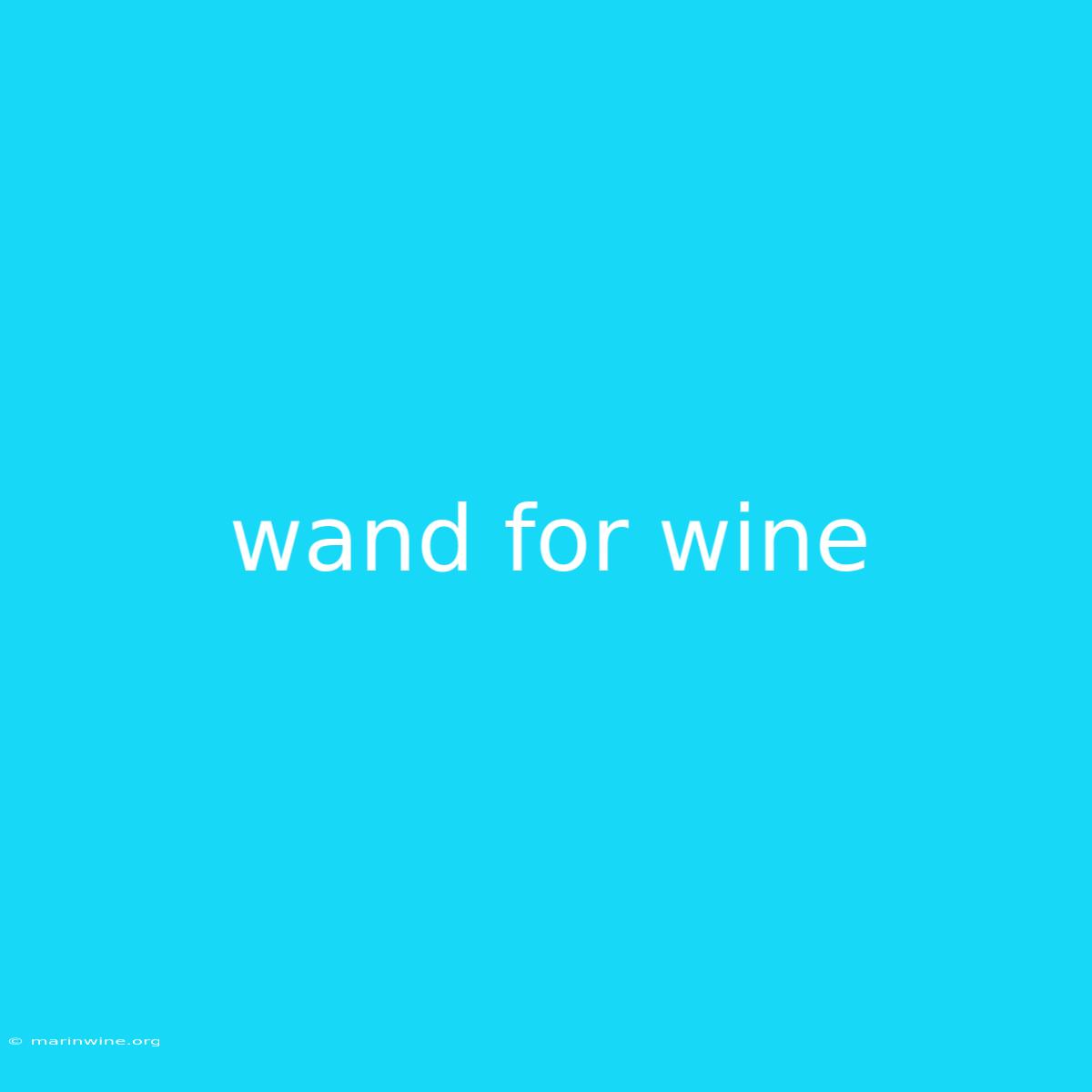 Wand For Wine