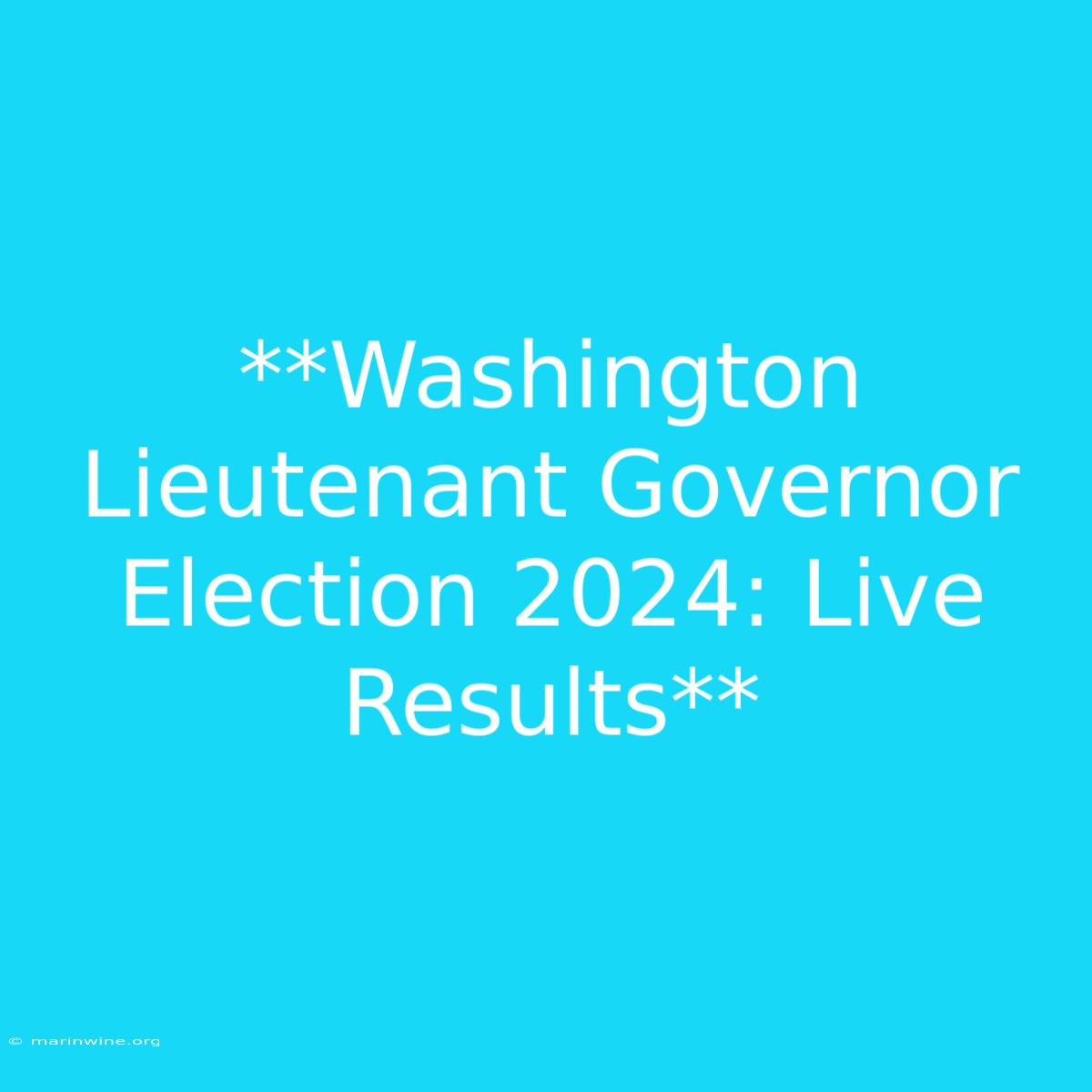 **Washington Lieutenant Governor Election 2024: Live Results**