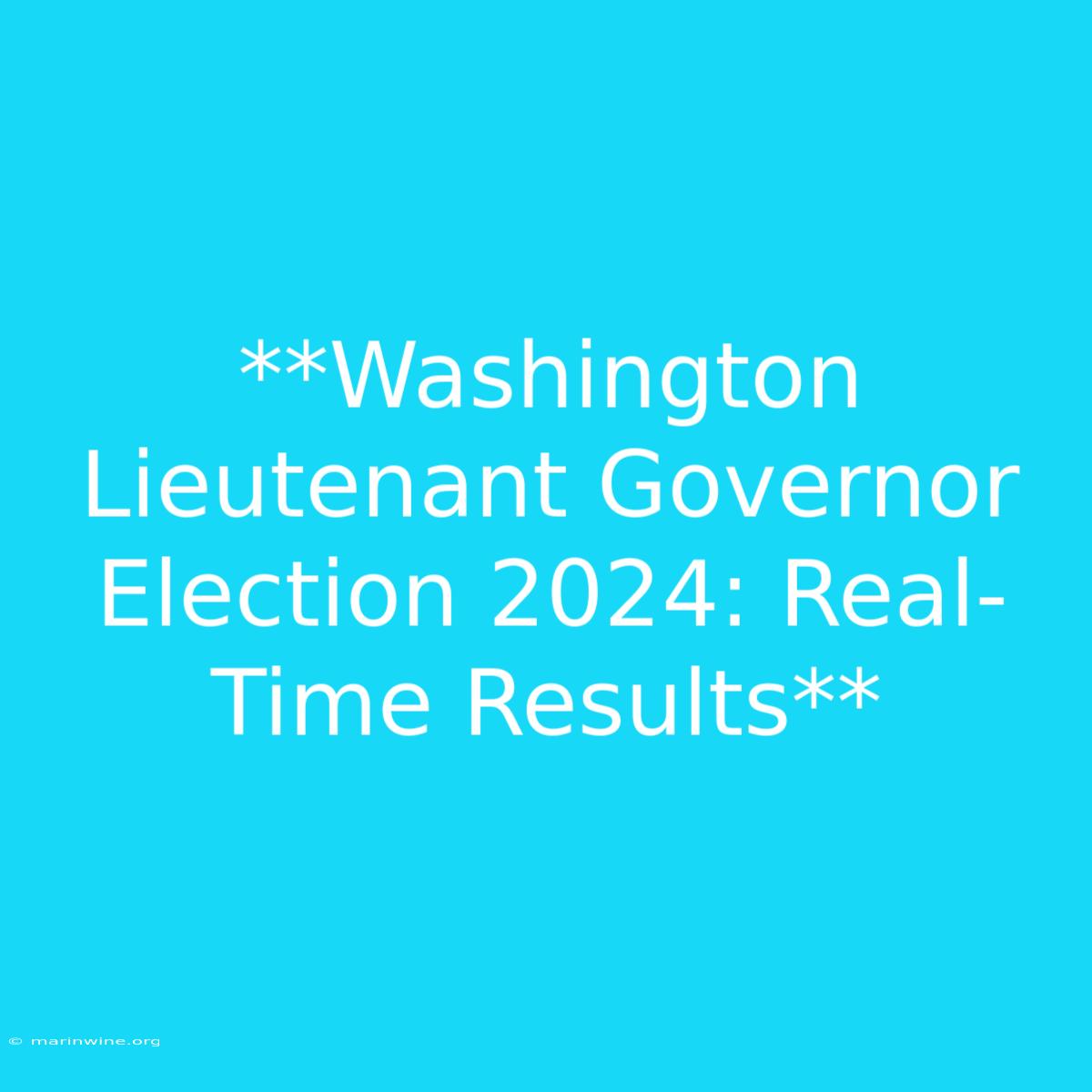 **Washington Lieutenant Governor Election 2024: Real-Time Results** 