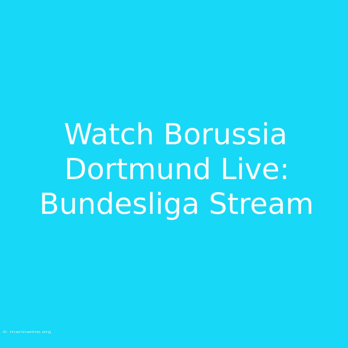 Watch Borussia Dortmund Live: Bundesliga Stream