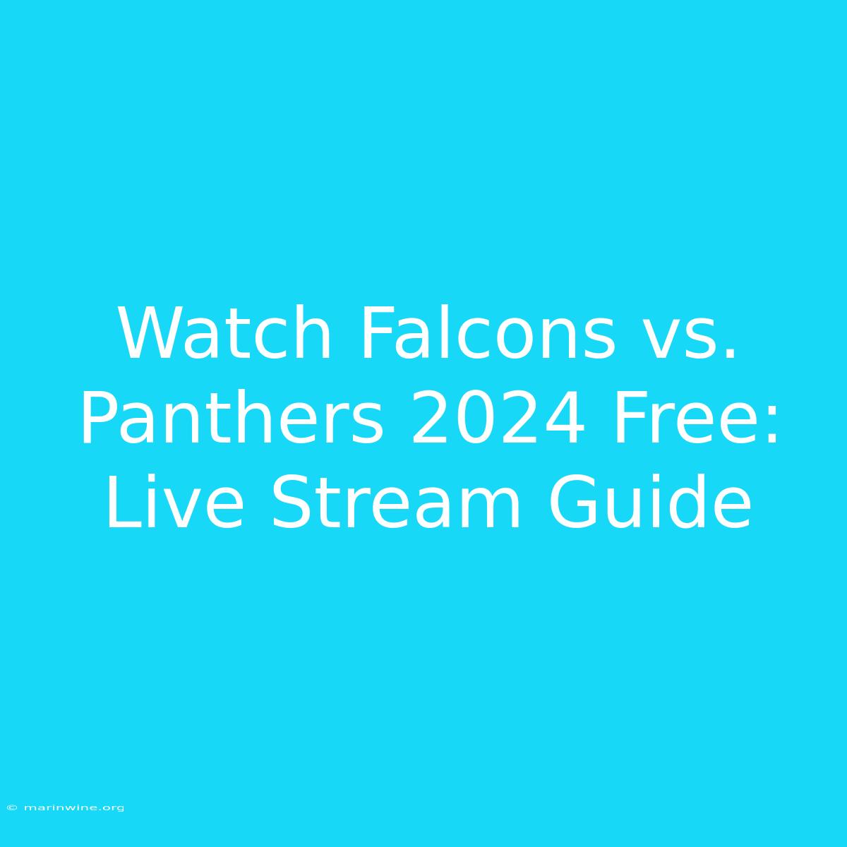 Watch Falcons Vs. Panthers 2024 Free: Live Stream Guide