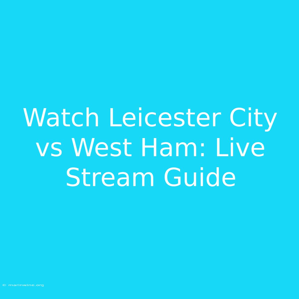 Watch Leicester City Vs West Ham: Live Stream Guide