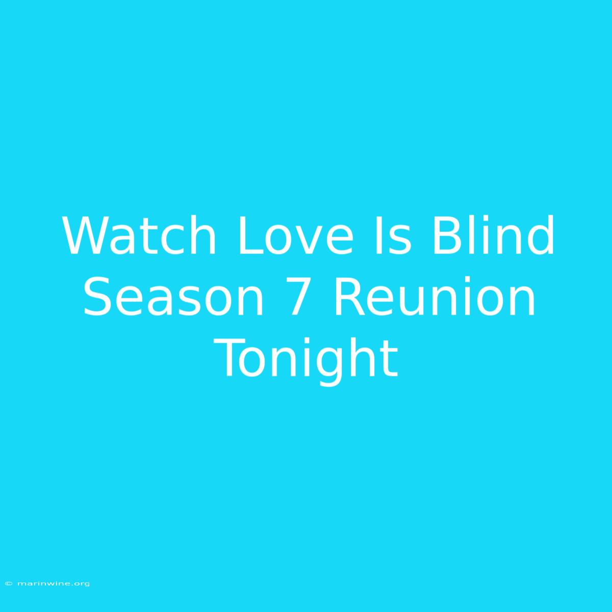 Watch Love Is Blind Season 7 Reunion Tonight