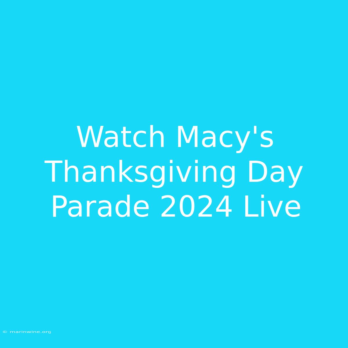 Watch Macy's Thanksgiving Day Parade 2024 Live